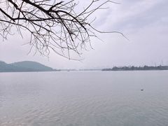 -东湖落雁景区