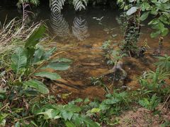 -海南热带雨林国家公园吊罗山景区