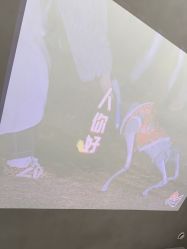 -Z.X HAIR SALON张新美业