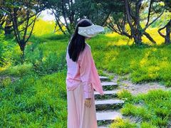 -大连天门山国家森林公园