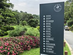 -东莞植物园