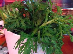 -老北京热气涮羊肉(正荣时代广场店)