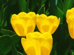 -北京植物园-展览温室