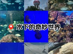 -上海海洋水族馆