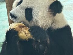 -五龙山野生动物王国