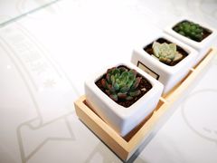 -开心糖水铺(天府三街店)