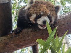 -北京野生动物园