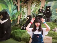 -济州岛泰迪熊博物馆