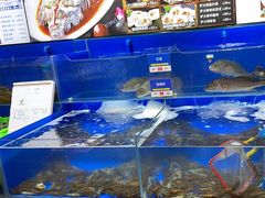 -船梆煮•蒸汽海鲜·生腌干蒸(五四广场店)