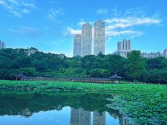 -龙头寺公园