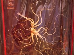 -银树楼(紫玉山庄东区店)