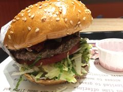 -The Habit Burger Grill 哈比特汉堡(爱琴海店)