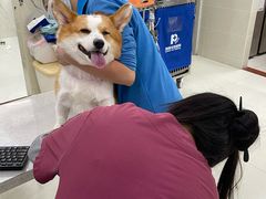 -瑞鹏宠物医院·微创内窥镜·骨外科·牙科(翠竹分院)