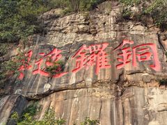 -铁山坪森林公园