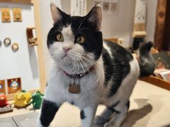 -创艺无限·赵春香微妙艺术馆