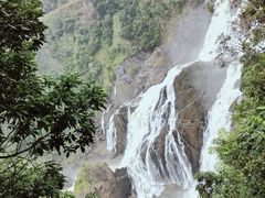 -热带雨林自然公园