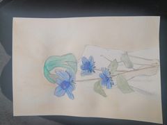 -鼎画艺术机构(贵都店)