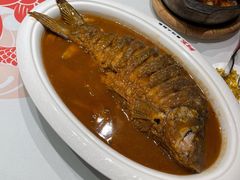 -阿五黄河大鲤鱼(英协路店)