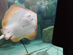 -珠海长隆海洋王国