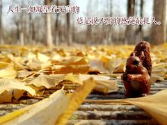 -中关村生命科学园