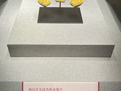 -秋水广场音乐喷泉