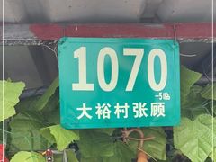 -马陆小张葡萄园农家乐