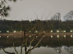 -月湖风景区