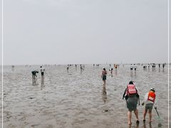 -奉贤海滩