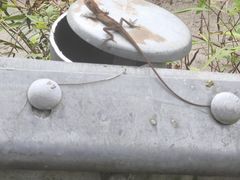 -广东天露山旅游度假区