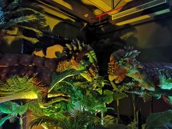 点击看大图 -恐龙探索乐园(磁器口店)