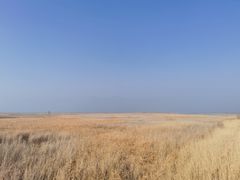 -野鸭湖国家湿地公园