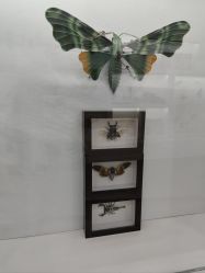 -酷嗒动物文化乐园(cutezoo西溪乐天城店)