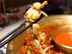 -新哥老官·畅吃123·美蛙世界(苏宁广场店)