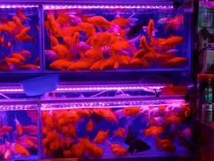 -西宁市人民公园(城西区)