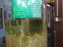 -北京鹿世界主题园
