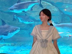 -泉城欧乐堡海洋极地世界