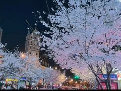-老号尤兔头(幸福店)