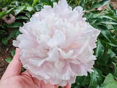 -大钟寺古钟博物馆