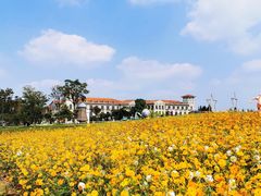 -歌斐颂巧克力小镇