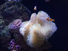 -成都浩海立方海洋公园