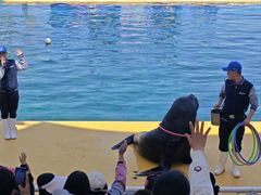 -秦皇岛乐岛海洋王国