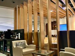 -虹桥机场国航贵宾室v8