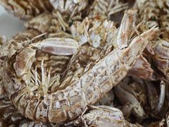 -众味海鲜大排档·活海鲜·潮汕味(南澳店)