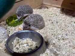 -酷嗒动物文化乐园(cutezoo西溪乐天城店)