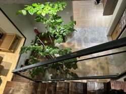 -香秀空间科技抗衰·美容中心