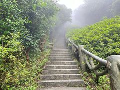 -梧桐山风景名胜区