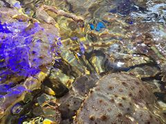 -蟹之国·精品蟹料理(极地店)