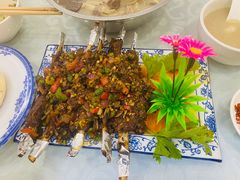 手抓羊排-胡世羊肉汤(南街店)