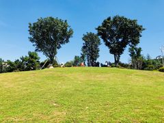 -铁山坪森林公园