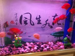 -臻湘·精致湖南菜·零预制